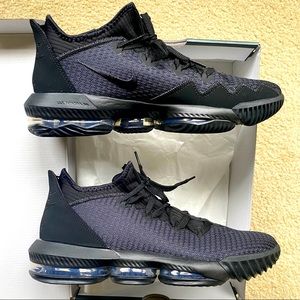 Nike LEBRON XVI LOW (Brand New!) shoes